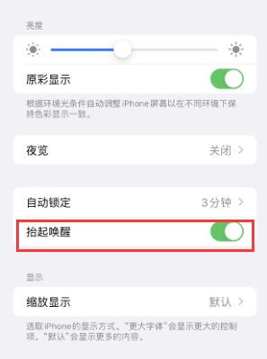 商水苹果授权维修站分享iPhone轻点无法唤醒怎么办