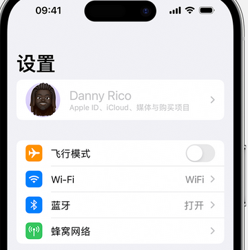 商水appleID维修服务iPhone设置中Apple ID显示为灰色无法使用 