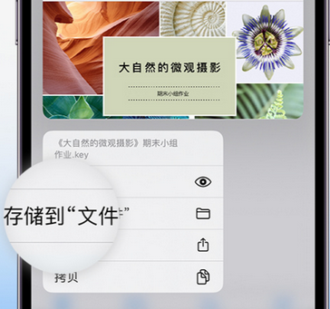 商水apple维修中心分享iPhone文件应用中存储和找到下载文件