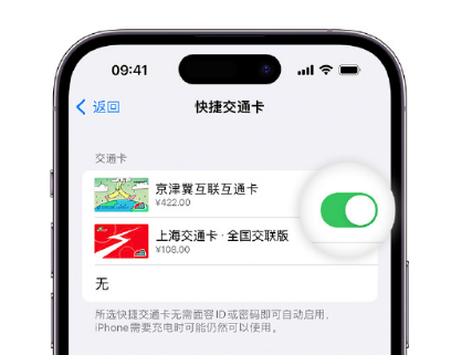 商水apple维修点分享iPhone上更换Apple Pay快捷交通卡手绘卡面 