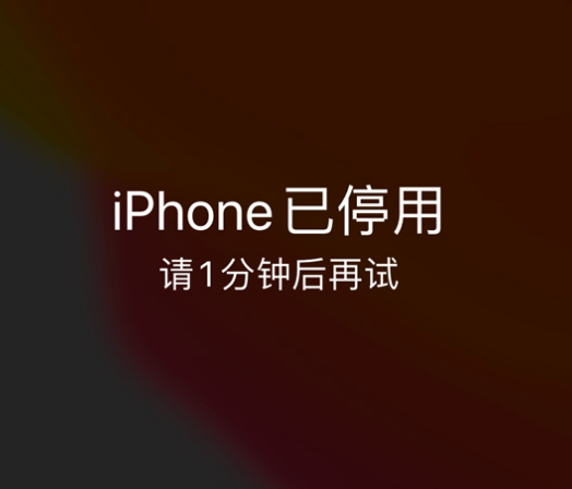 商水苹果手机维修分享:iPhone 显示“不可用”或“已停用”怎么办？还能保留数据吗？ 