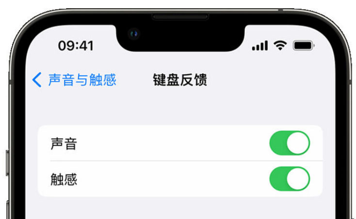 商水苹果手机维修分享iPhone 14触感键盘使用方法 