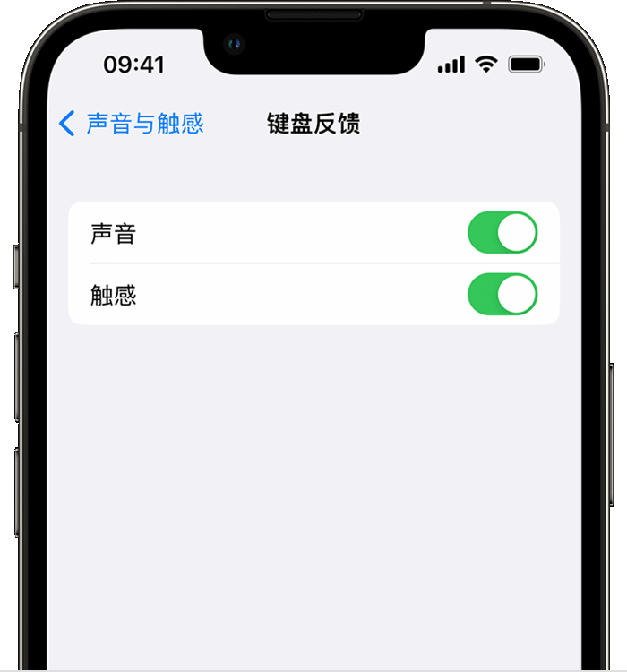 商水苹果14维修店分享如何在 iPhone 14 机型中使用触感键盘 