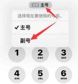 商水苹果14维修店分享iPhone 14 Pro Max使用副卡打电话的方法 