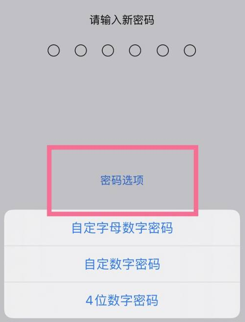 商水苹果14维修分享iPhone 14plus设置密码的方法 