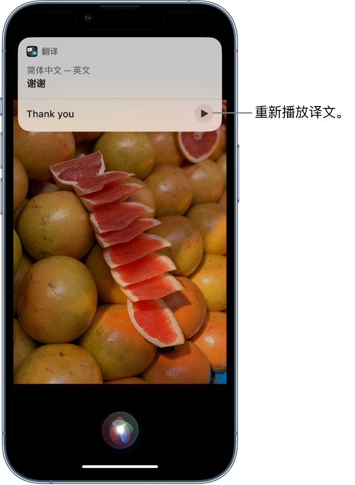 商水苹果14维修分享 iPhone 14 机型中使用 Siri：了解 Siri 能帮你做什么 