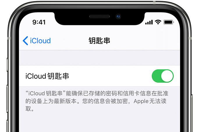 商水苹果手机维修分享在 iPhone 上开启 iCloud 钥匙串之后会储存哪些信息 