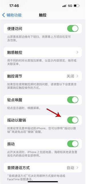 商水苹果手机维修分享iPhone手机如何设置摇一摇删除文字 